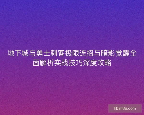 地下城与勇士刺客极限连招与暗影觉醒全面解析实战技巧深度攻略